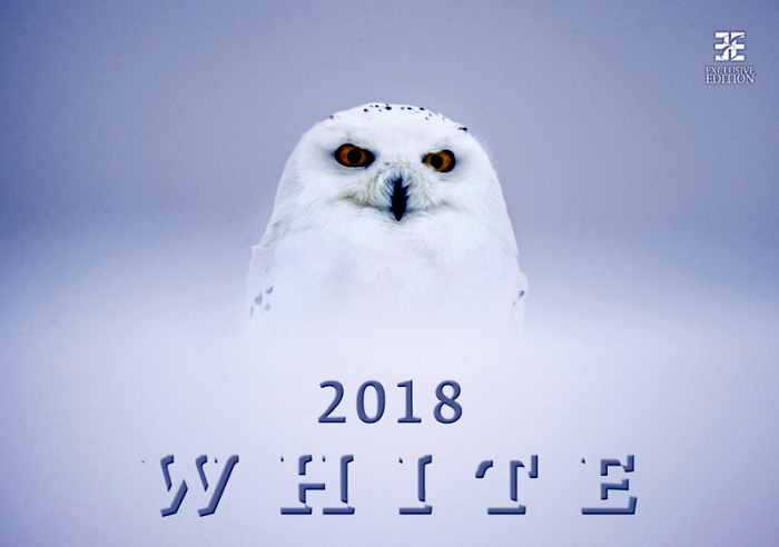 White - kalend