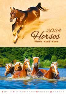 Horses - kalend