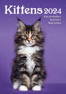Kittens - kalendáø