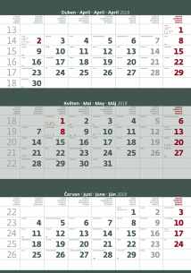 TMSN - ed - kalend